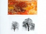 Tree Series