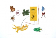 Insects VI