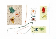 Insects VIII-web.jpg