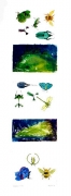 Summer Insects